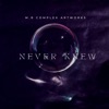 Never Knew - Single