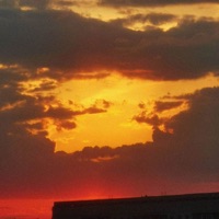 Goodbye - Single - wind-up bird