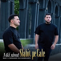 Mă simt slăbit pe cale (feat. Fernando din Barbulesti) - Single - Beny din Barbulesti