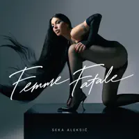 Lisica — Seka Aleksic