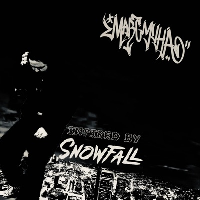 SnowFall (feat. "TøK") - Single