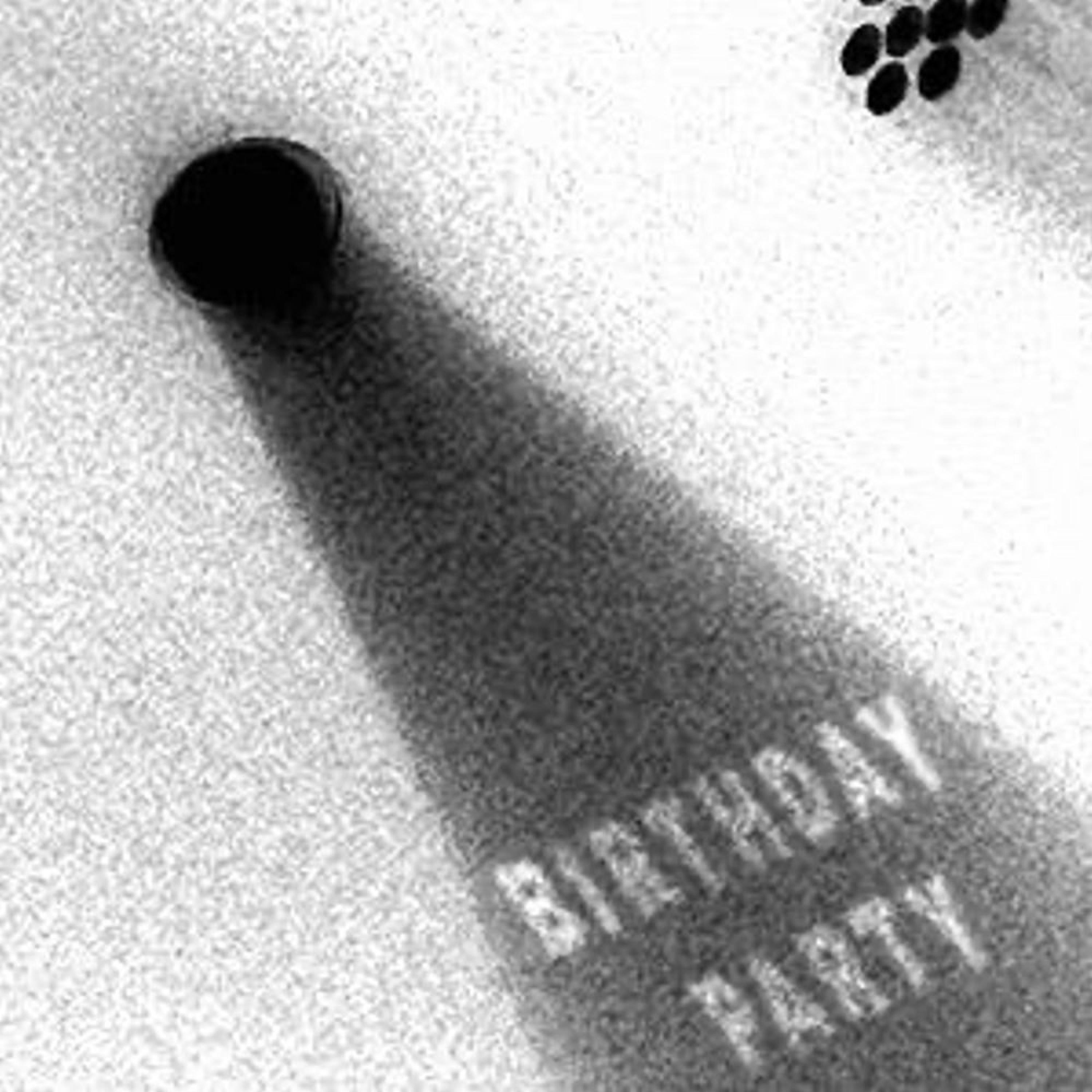 Birthday Party - Single
