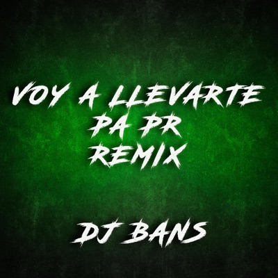 VOY A LLEVARTE PA PR (TURREO EDIT) - Single