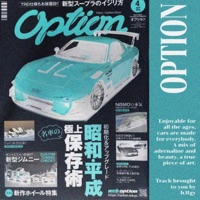 Option - Single - h3fgy