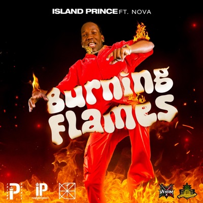 Burning Flames (feat. Nova) - Single