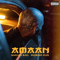 AMAAN - Single - Shayan Rag & Pedram Plus