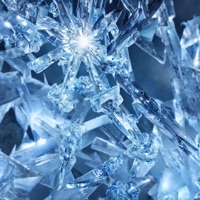 Mr. President (feat. The White House Oval Office) - Single - E76