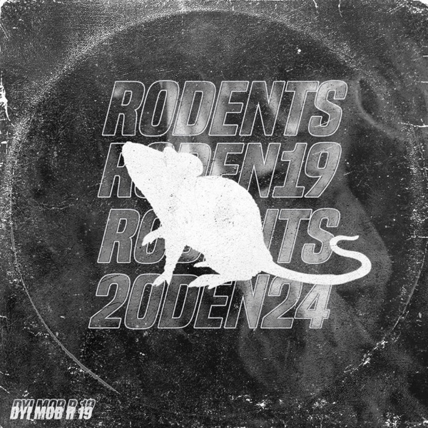 R 19 - Single