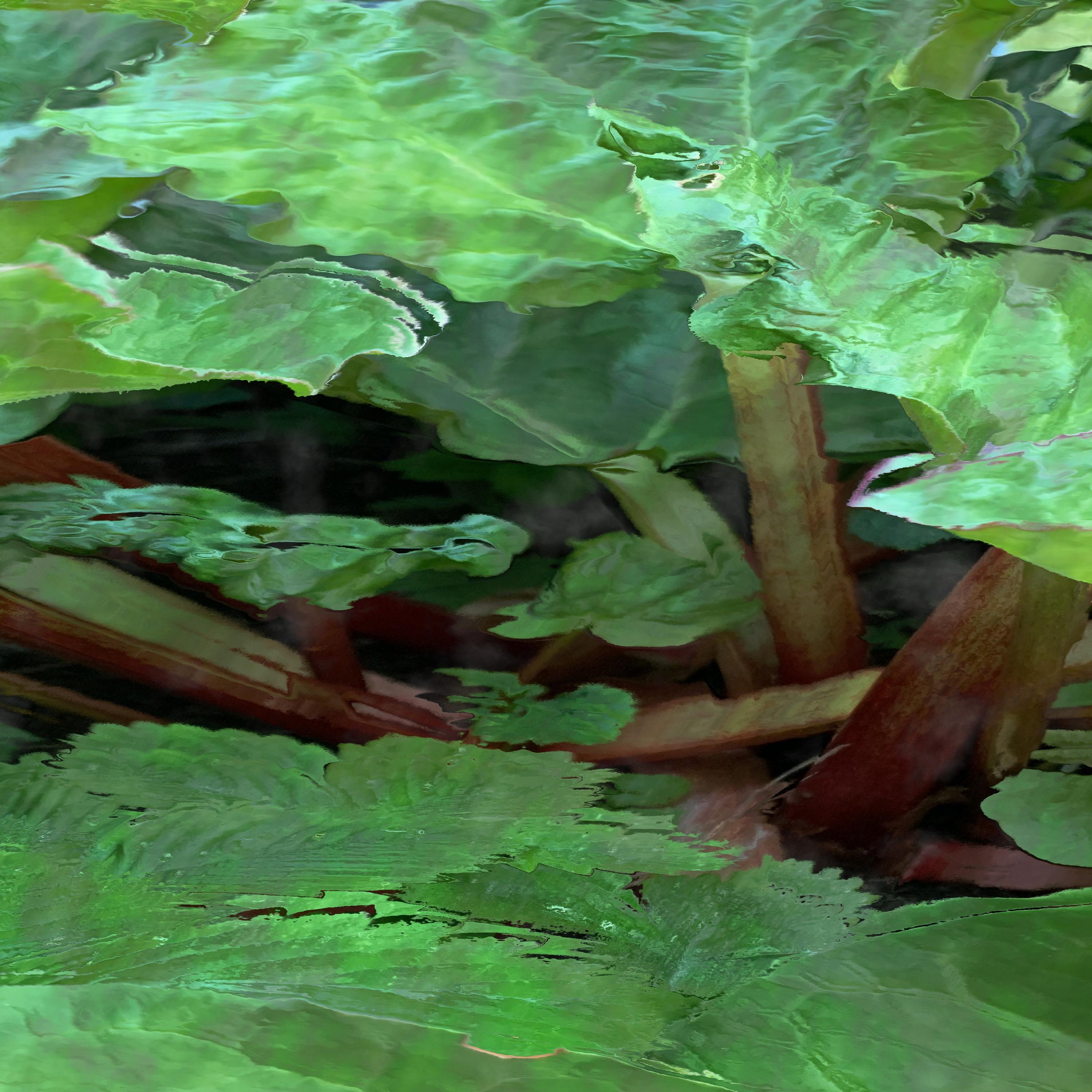 Teodorescu Måwe Soil Fertilizer