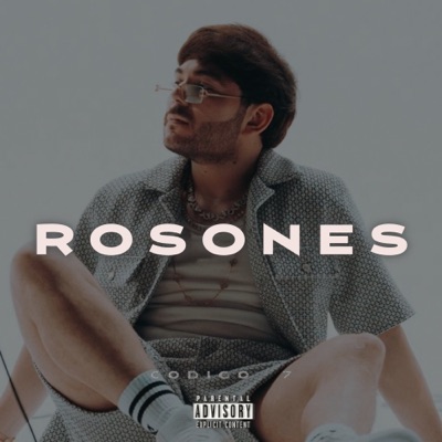 Codigo 7 - Rosones