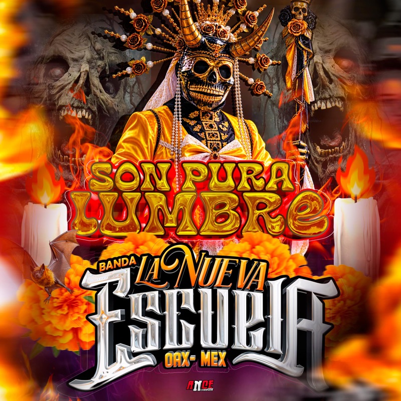 SON PURA LUMBRE