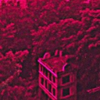 STARING AT THE PAINT - EP - AMFEVER