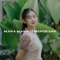 Mana Mana Jj Mengkane - Single - Dj Anton