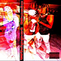 Whippet Music - Single - w4vo