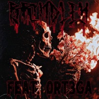 NiTETiME GLOOM (feat. Ort3ga) - Single - BRiNDLEY