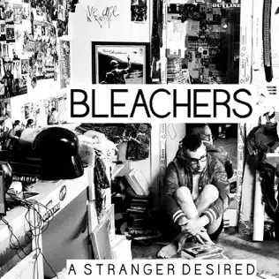 Bleachers – Wild Heart – Pre-Single (2024)