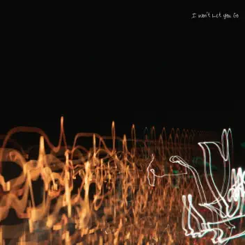 I Won't Let You Go album cover