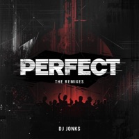 Perfect - Single - DJ JONKS