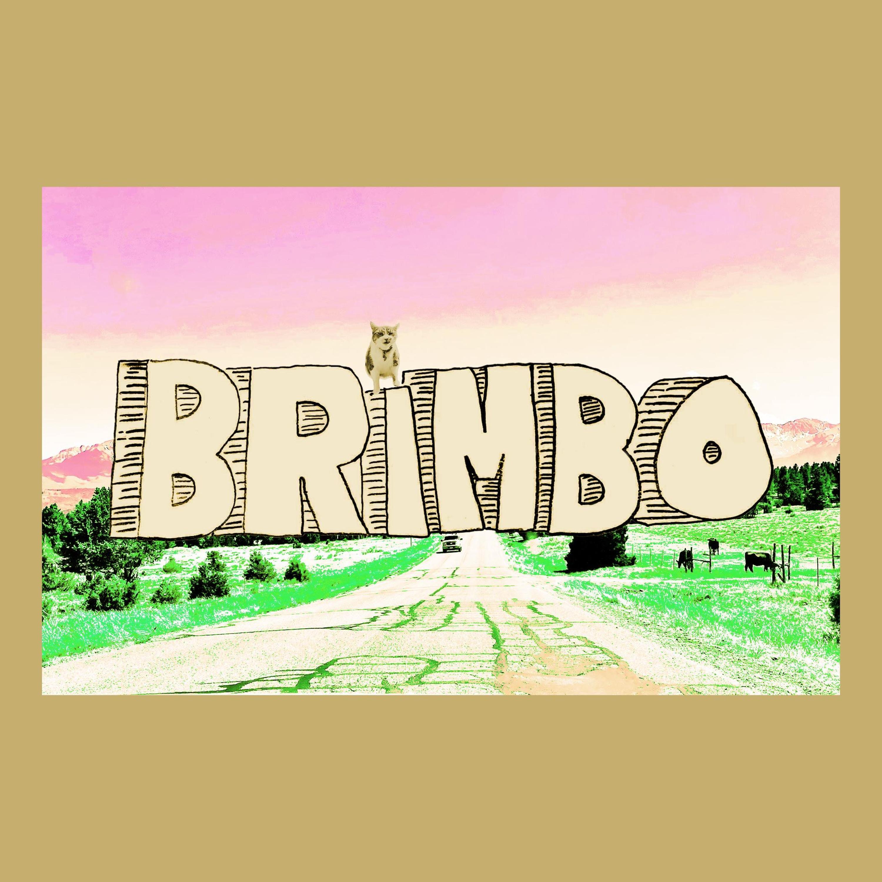 misc BRIMBO