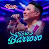 TORO BARROSO