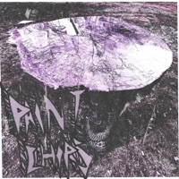 Paint Chips - Single - Bowdizz & Dylan Willett