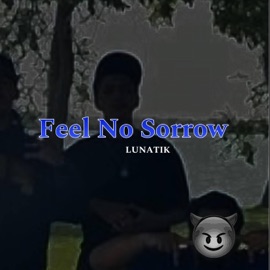 Feel No Sorrow Lunatik