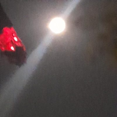 OUTSIDE (feat. shaunpolitoo) - EP