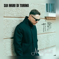 Sui muri di Torino (feat. Simonoize) - Single - Alan Michael