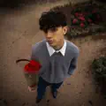 Fan de Toi