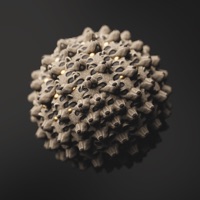 Cells - Single - Yuvi Gerstein