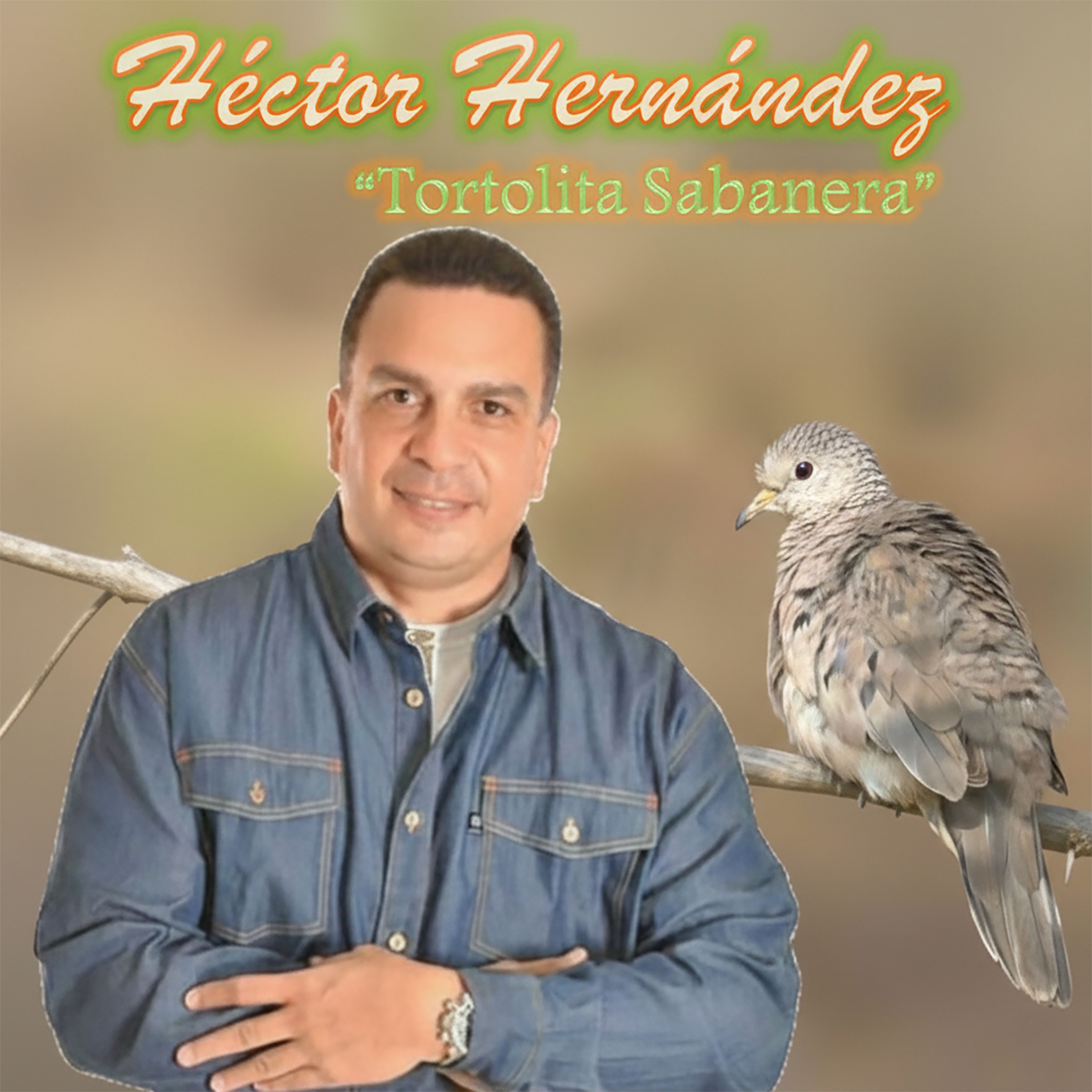 Tortolita Sabanera - Single