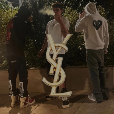 YSL (feat. MLS & Sgp) - Single