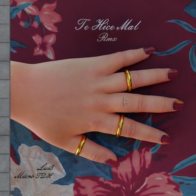 Te Hice Mal (Remix) - Single