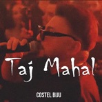 Taj Mahal - Single