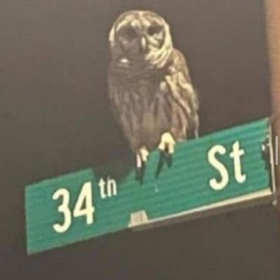 Nightmares On Weber Blk - Single