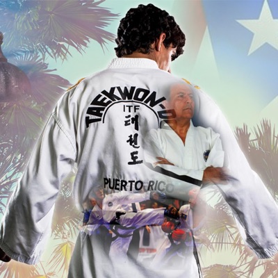 CHAMPION (JUEGOS PANAMERICANOS XVI TAE KWON DO) - Single