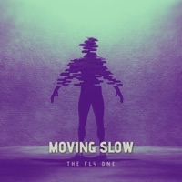 Moving Slow - Single - The Fly One