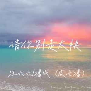 请你别走太快