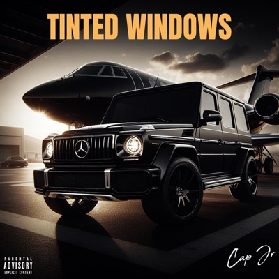 Tinted Windows - Single