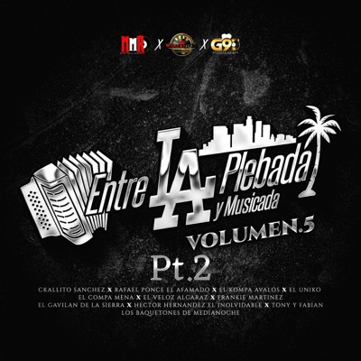 Entre La Plebada y Musicada Vol.5 Pt. 2
