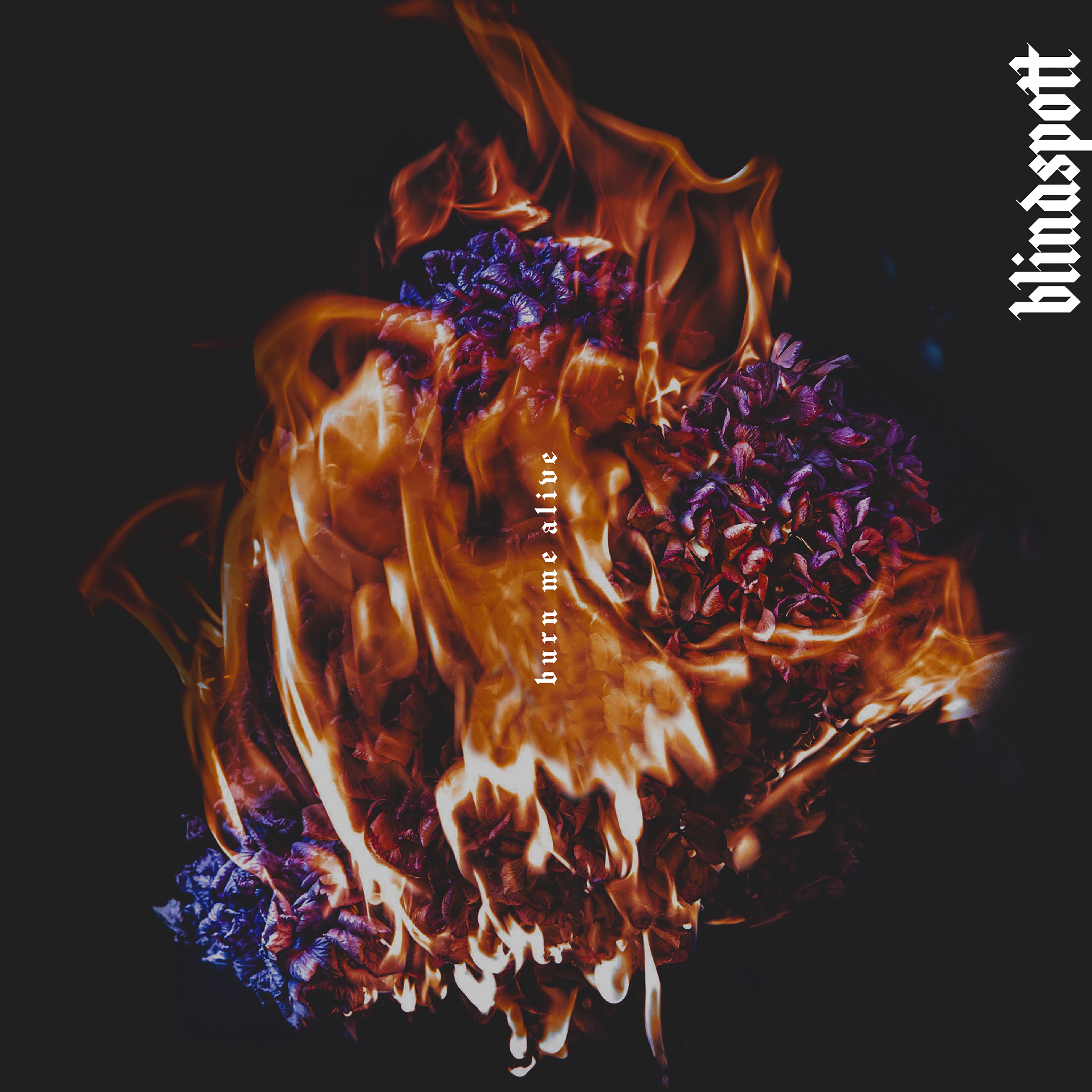 Blindspott - Burn Me Alive