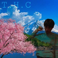 T.H.C - Single - grayoverdeath