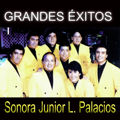 Sonora Junior L. Palacios
