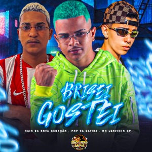 Brisei Gostei (feat. MC Leozinho SP)