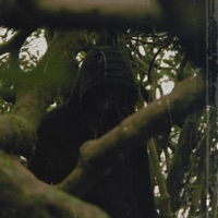 On the Grind - Single - Skxlly