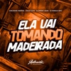 Ela Vai Tomando Madeirada (feat. DJ Romulo MPC, Cacau Chuu & Carlinhos Terrivel) - Single