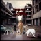 Catchin Action (feat. Ysr Tiante & MilMigl) - Rnflilg lyrics
