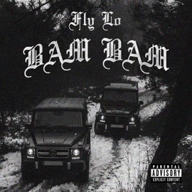 BAM BAM FLY LO & Mike G