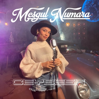 Meşgul Numara - Single