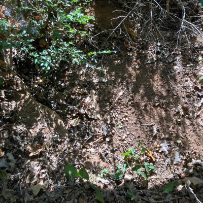 DONT BLAME ME - Single